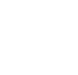 Scroll animation