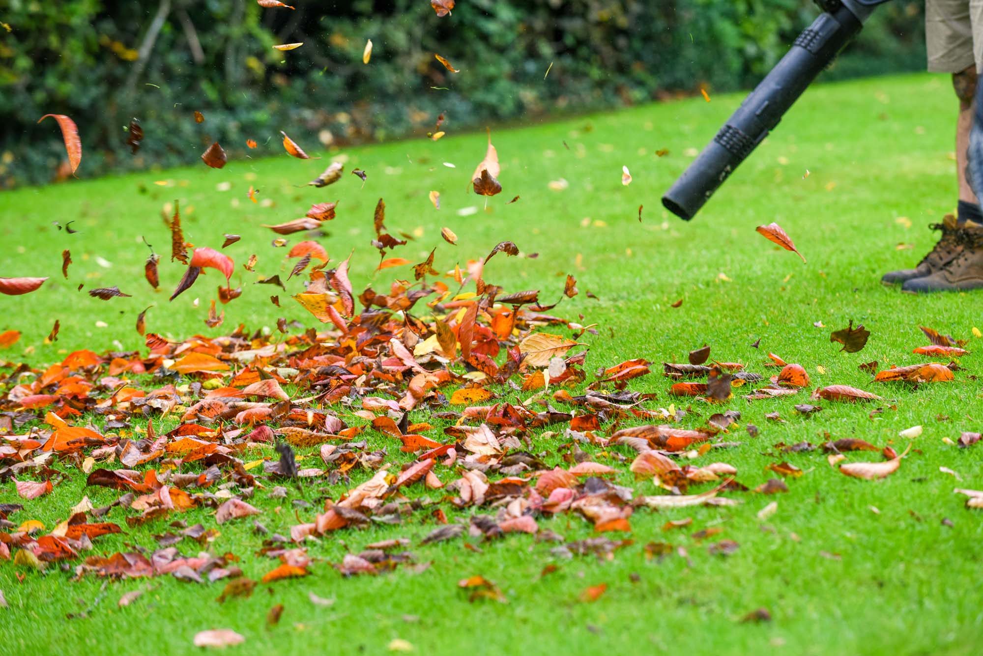 Leaf blowing in Blackburn