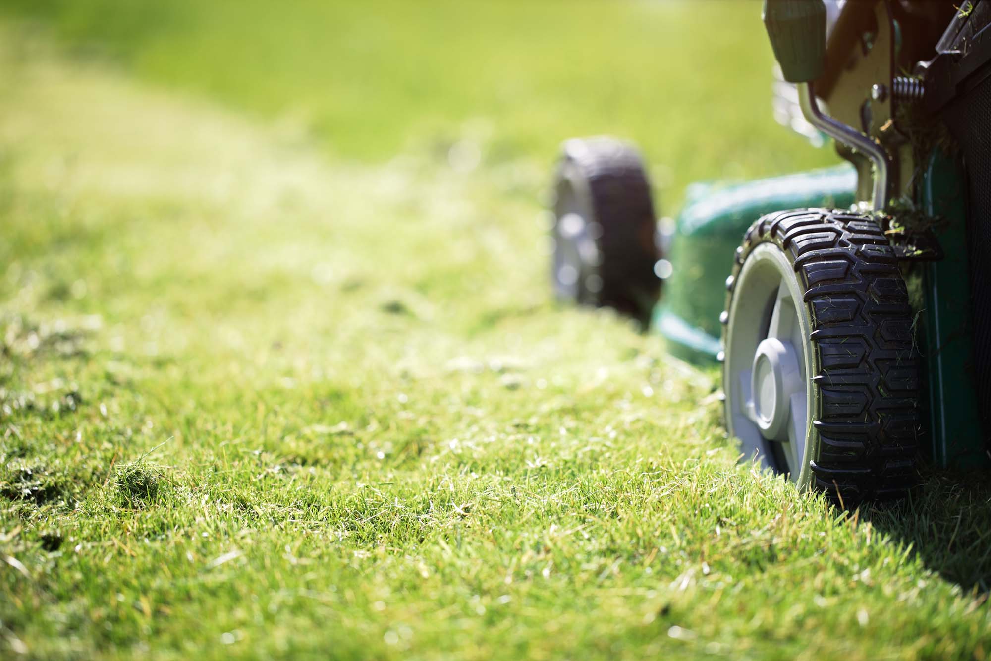 Cutting grass in Blackburn
